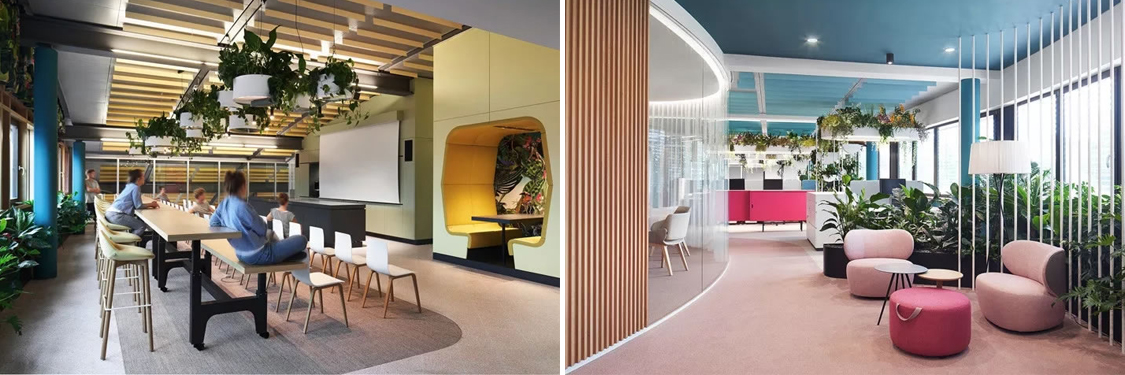 �칫����װ�����