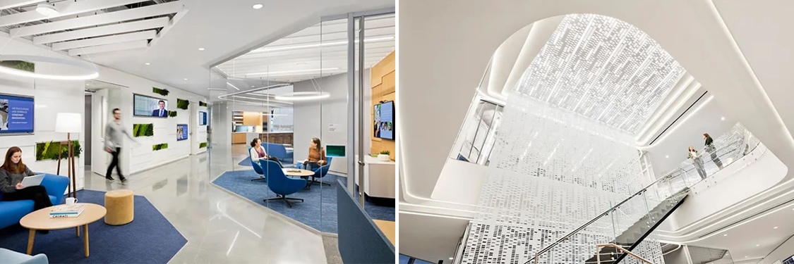 �������ǲ���(�й���)���Ź���